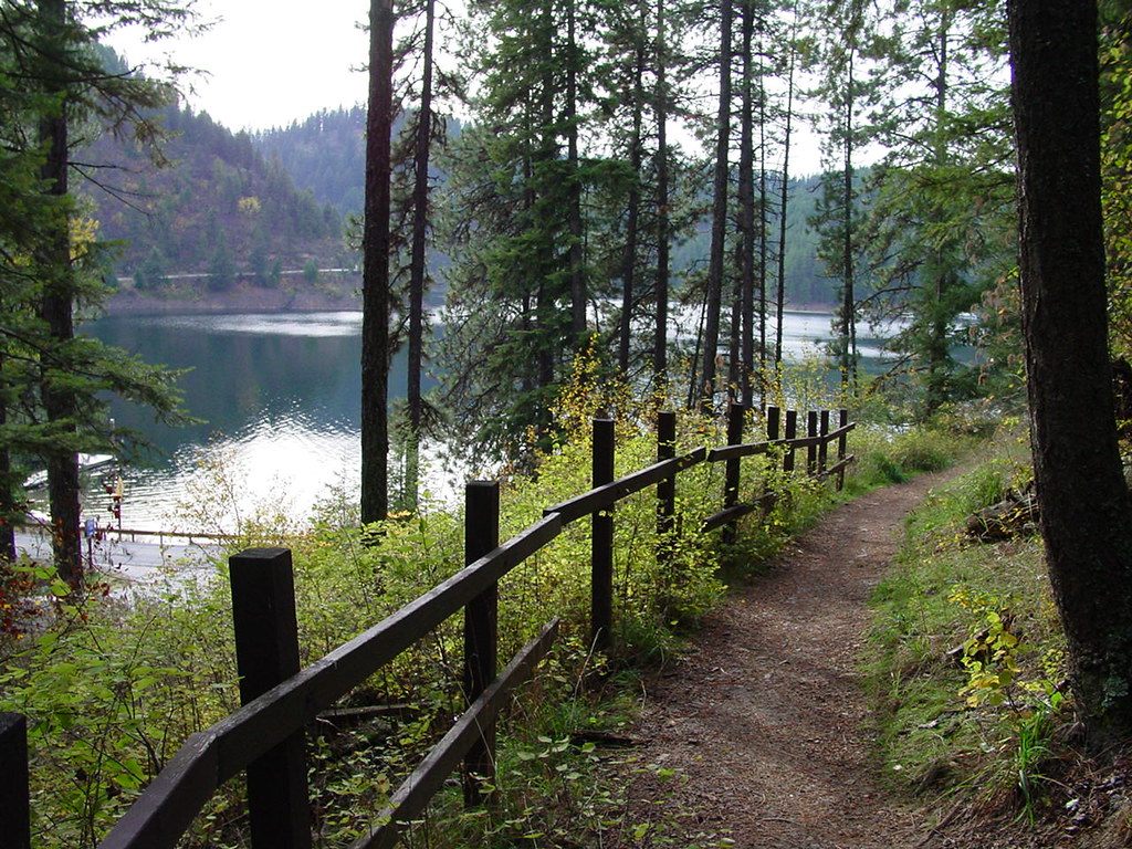 trail through forest by lake